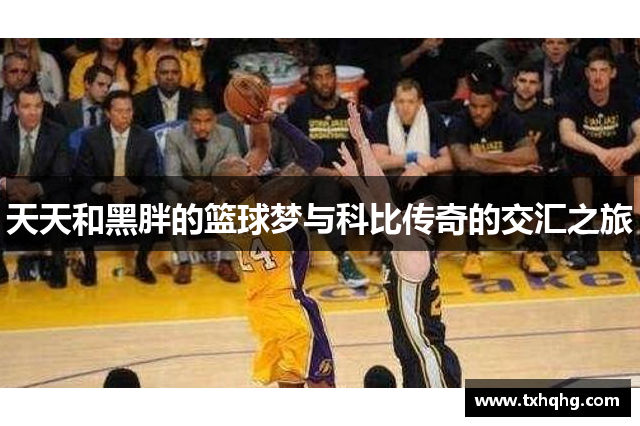 天天和黑胖的篮球梦与科比传奇的交汇之旅