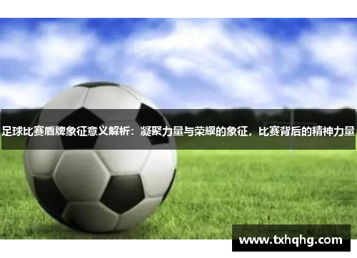 足球比赛盾牌象征意义解析：凝聚力量与荣耀的象征，比赛背后的精神力量