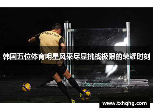 韩国五位体育明星风采尽显挑战极限的荣耀时刻